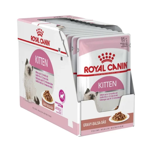 پوچ کیتن (pouch kitten )((گارانتی اصالت و سلامت فیزیکی کالا))